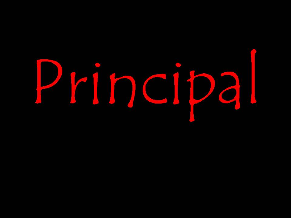 Regresar a Pagina Principal